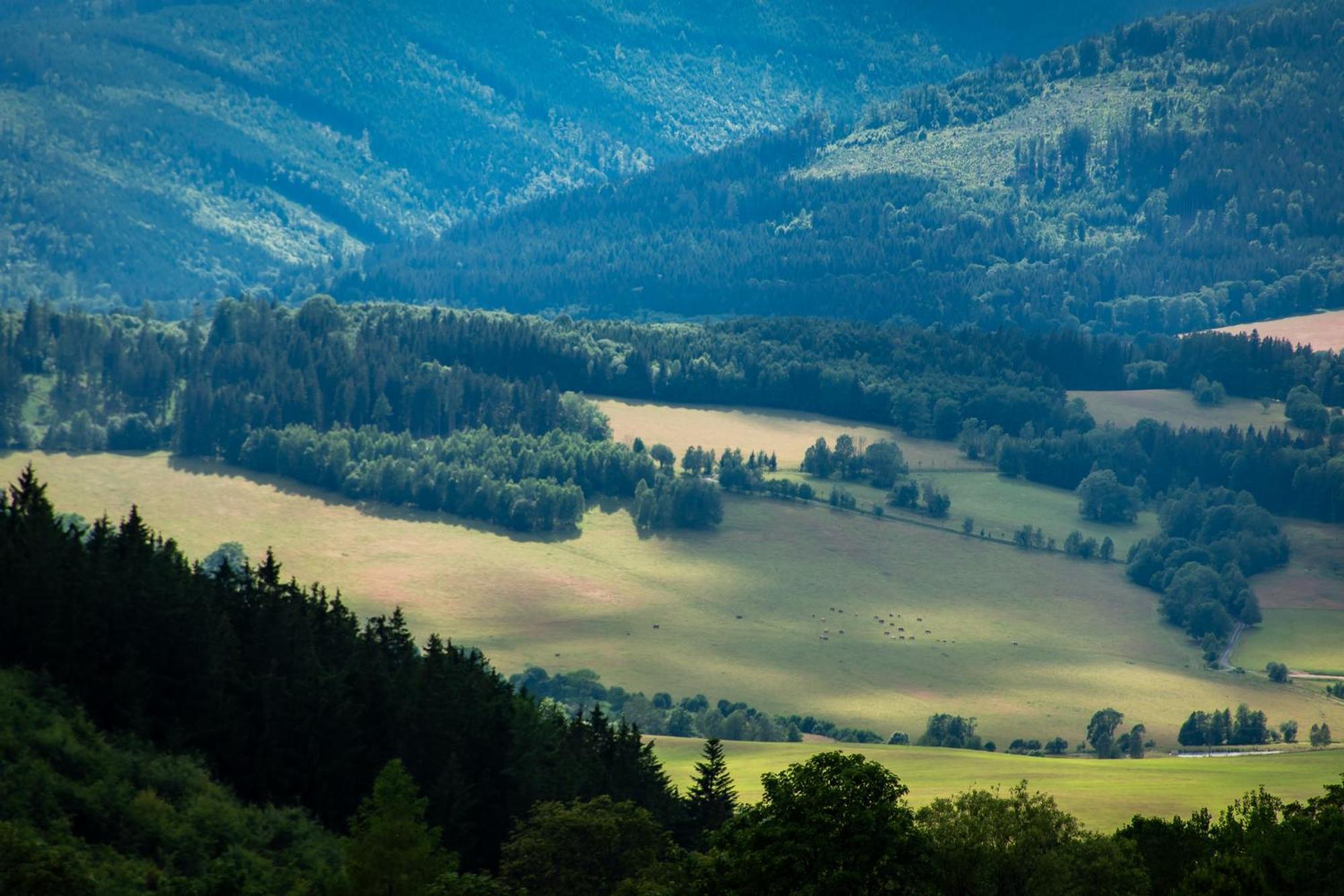Penzion U Skoly Staré Město Bagian luar foto