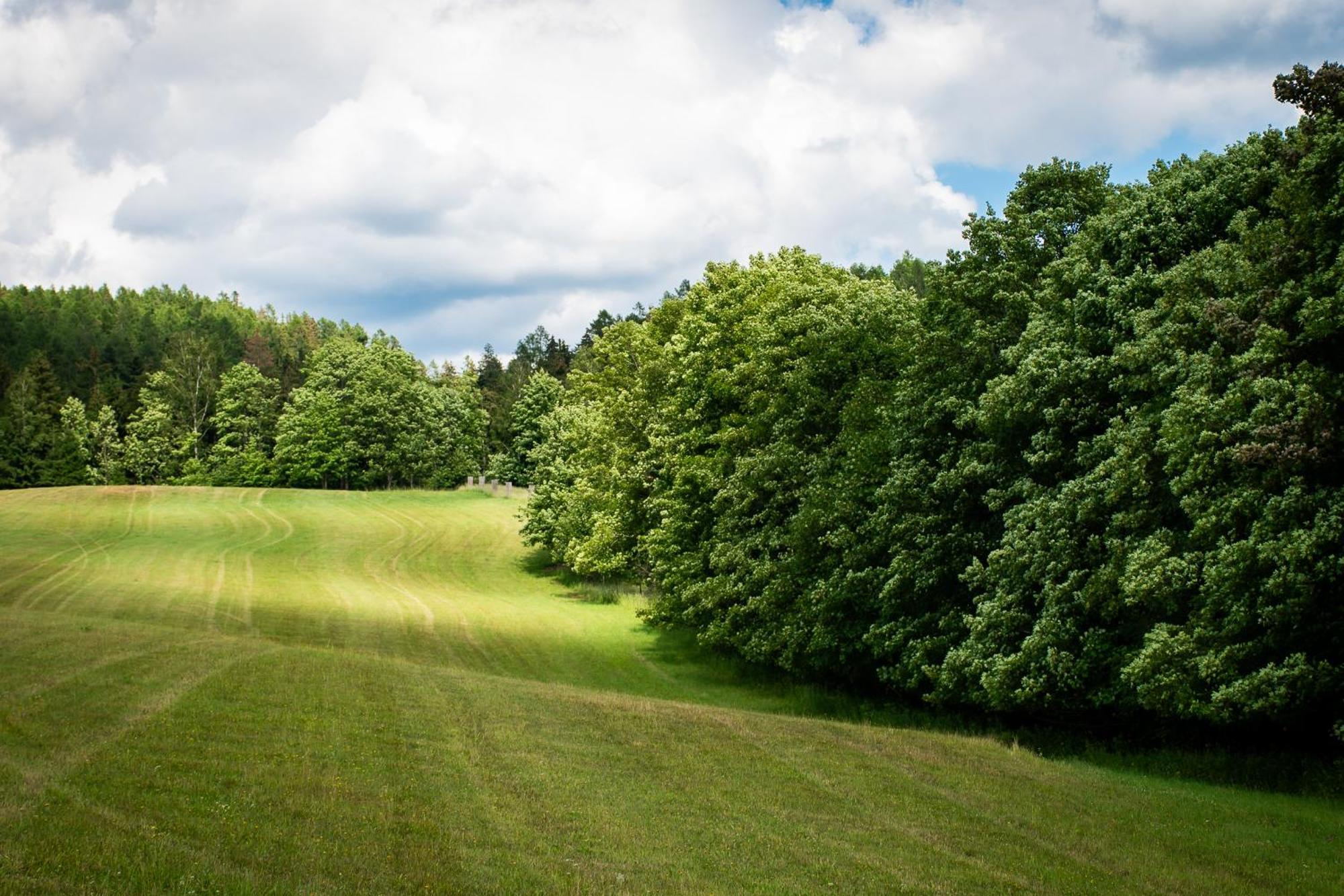 Penzion U Skoly Staré Město Bagian luar foto
